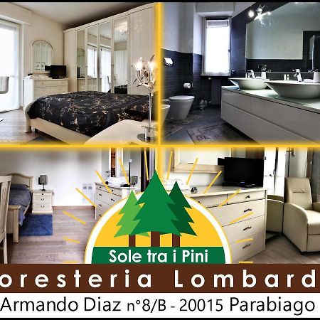 Sole Tra I Pini - Foresteria Lombarda Parabiago Ngoại thất bức ảnh